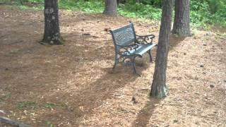 Songs of William Blake: V, The Divine Image