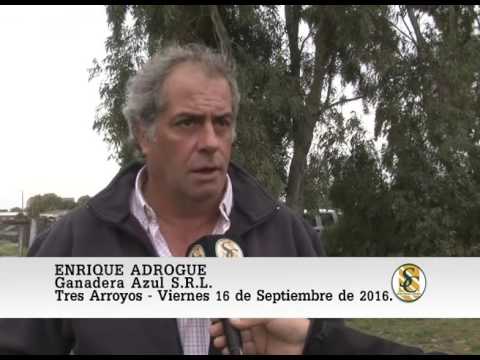 16-09-16 Nota Enrique Adrogue - Cabaña La Segunda - Tres Arroyos