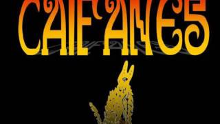 Lo Mejor De "CAIFANES" "Con Volumen Automatico"