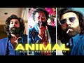 A N I M A L E D I T Ranbir Kapoor Short Edit Animalmovie A D I T Z