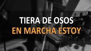 En marcha estoy - Phil Collins (Martin Redondo acoustic cover - Brother Bear)