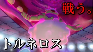 【ひこう統一】トルネロスは不遇？殴ります【ポケモン剣盾】#9