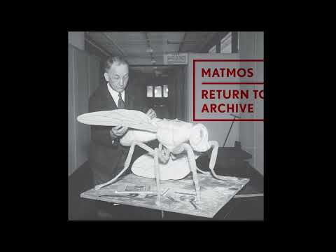 Matmos - "Mud Dauber Wasp" (Official Audio)