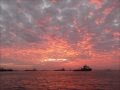 Estrades Dziesmu Izlase - Manai Tautai (Ieva ...