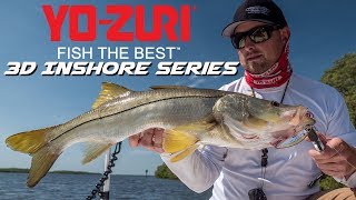 Yo-zuri 3d inshore surface minnow