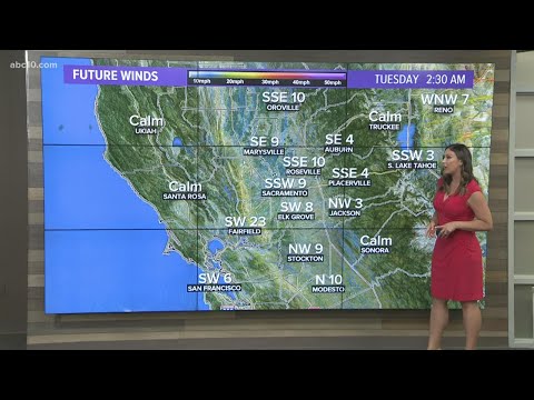 Local evening weather | June 21, 2021