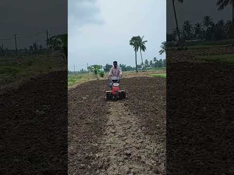 working  with power weeder👨‍🌾🚜.............hashtags.     #shorts ..#farming .....#powerweedermachine