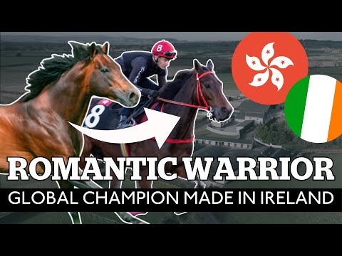 Meet ACCLAMATION: supersire behind global Champion ROMANTIC WARRIOR | ITM Irish Stallion Trail 2024