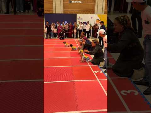 Which of these survivors will win the race? #shortsvideo