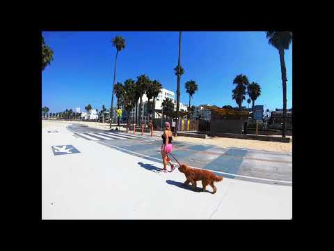 LA MINI Vacation PT1 2020 #jeffbeats #BigJeffProductions  #bigjefffirebeats