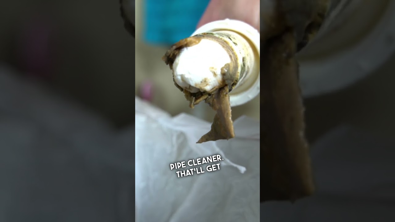 How to Clean your Kitchen Sink Drain