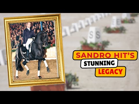 How Did Sandro Hit Change Dressage Breeding?