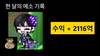 여덟 번째 한 달간의 메소 기록