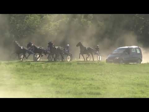 Trka "Dika-Pokrovitelj Opština Žabalj" 05.06.2021 Ivan Turgenev A.T. - Boris Kečenović