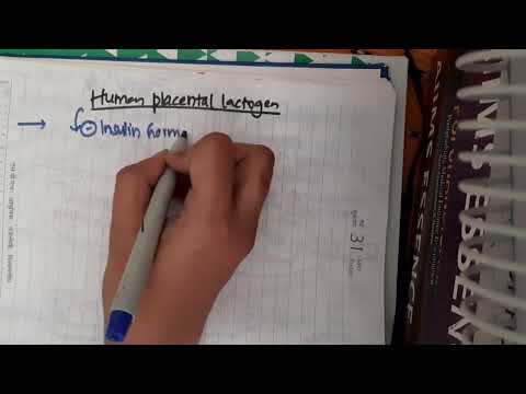 Placental Lactogen: The Overlooked Hormone | Vibepedia