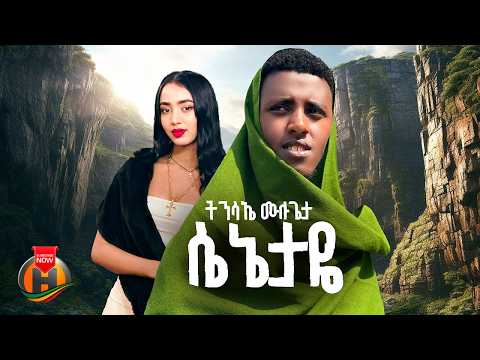 Tinsae Mulugeta - Senetaye (ትንሳኤ ሙሉጌታ - ሴኔታዬ) New Ethiopian Music 2026 (Official Video)