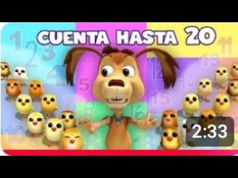 CHOCOLO CONTABA 20 POLLITOS