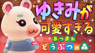 どうぶつ の 森 ゆきみ イラスト Watch Hd Mp4 Videos Download Free