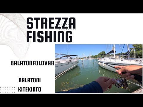 Perch spinning on lake Balaton - predator fishing on Balatonfoldvar | Strezza Fishing