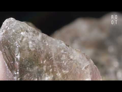 Clean Slate ~ Root Wellness