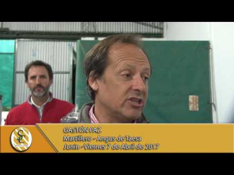 07-04-17 Nota a Gastón Paz- Angus de Taesa - Junín.