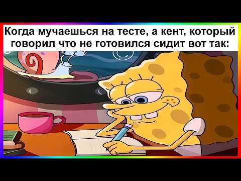 тик ток всё знает | подборка мемов