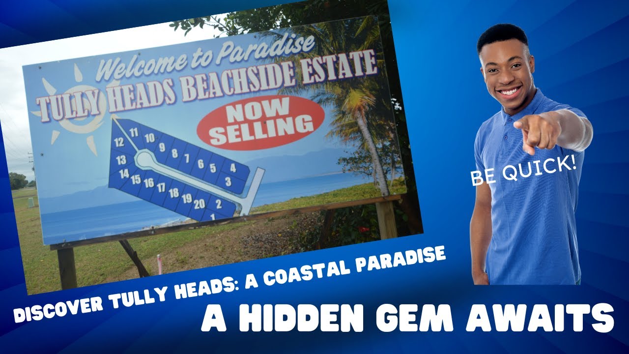 4,8,9,10,11/ 12 Tully Heads Road Tully Heads QLD 4854 - video 1