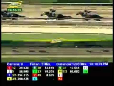 LA RINCONADA 8 CARRERA, DOMINGO 18 DE OCTUBRE DEL 2015