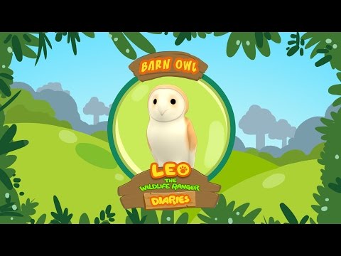 Witness21  2019 09 21