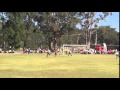 2014 NSW PSSA FINAL GIRLS FOOTBALL 