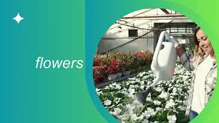 SAVE O2 Foundation - Transparent Reward System