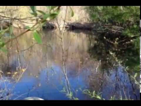 4 Bedroom Home For Sale in Webster MA - 23 Skyview Lane