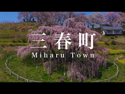 Enjoy Miharu Town in all four seasons - A journey through Japanese tradition and natural scenery -