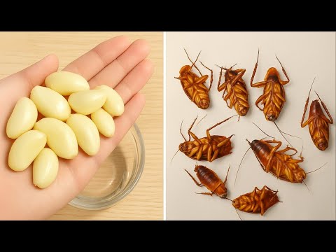 Kill cockroaches with just one clove of garlic—no survivors!