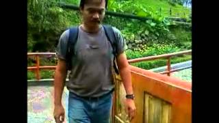 Apakah Ada Bedanya EBIET G ADE
