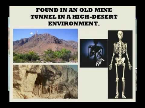 Starchild Skull - The New Evidence - Lloyd Pye