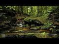 True Nature Embodying Itself (Excerpt)