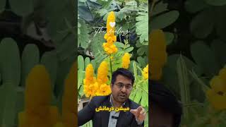 Download lagu #funny #خندارترین #ایران #duet #food #رویایی #coffee #کلیک #ترند #doctor mp3