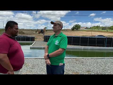 Criação de tilápias no tanque de recirculação. 8.000 kg  mês. . #pisciculturaderecirculação