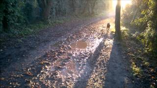 preview picture of video 'Cinders getting dirty in the mud on the Icknield Way, Chinnor, Chilterns, Oxfordshire'