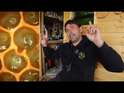 Great help for the smallest details – with the digital microscope