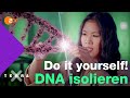 Mai Thi Erklärt Die Entdeckung Aufbau Von DNA Terra X Plus