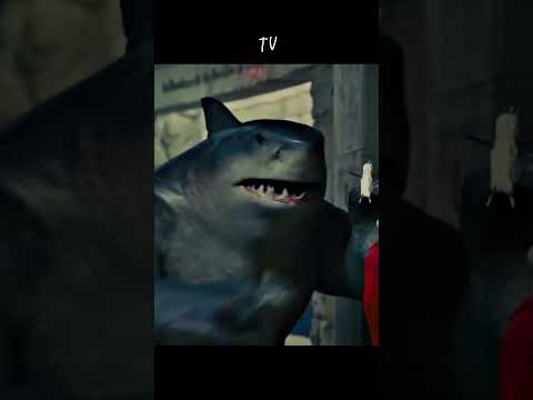 Vem pra Tropa do tubarão tu tu tu Tubarão