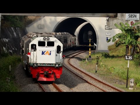 Morning Vibes at The Kebasen Train Tunnel - 08/22/2022 || Java Railfanning