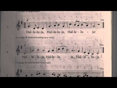 175,3 - Halleluja (Gerhard Kronberg)