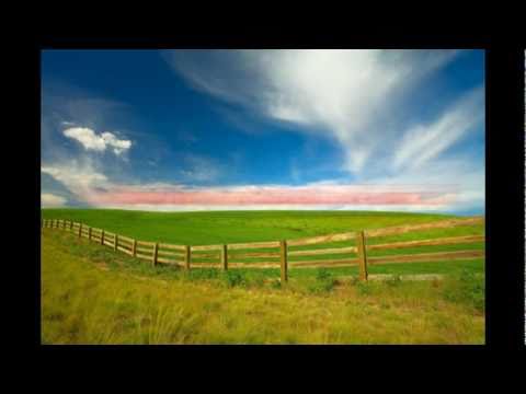 Merlyn Uusküla - Vabaks lastud lind