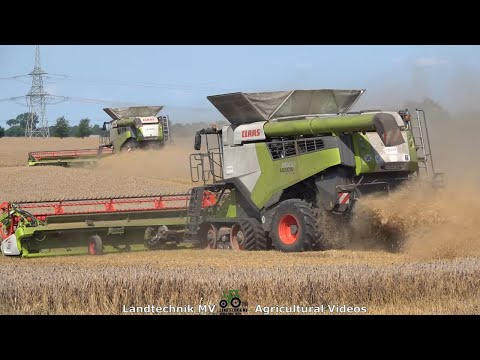 Claas - Fendt - Steyr / Getreideernte - Grain Harvest  2021