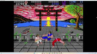 IK+ on Amiga via Amiga Game Selector