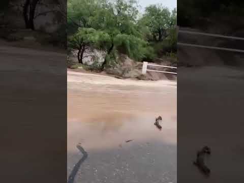 Fuertes Inundaciones en San Blas De Los Sauces Argentina 28_01_2026  #shorts