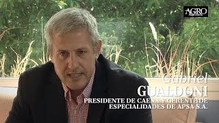 Gabriel Gualdoni - Presidente de Caena y Gte. de Especialidades de Apsa S.A.